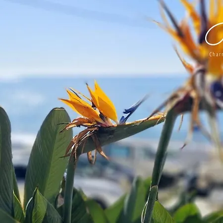Holiday home Charming House Burgau
